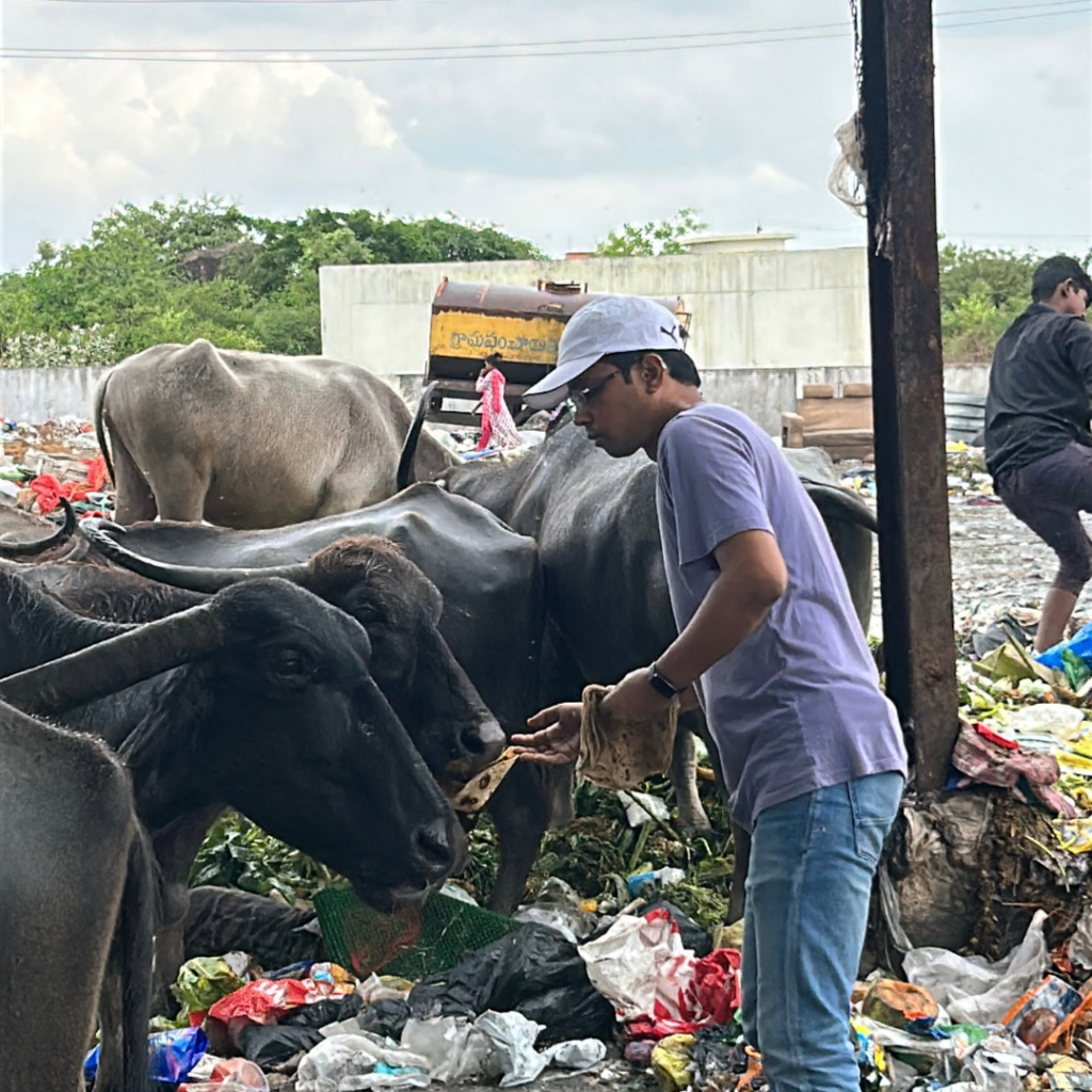 Feeding Animals At Ameenpur Dump Yard