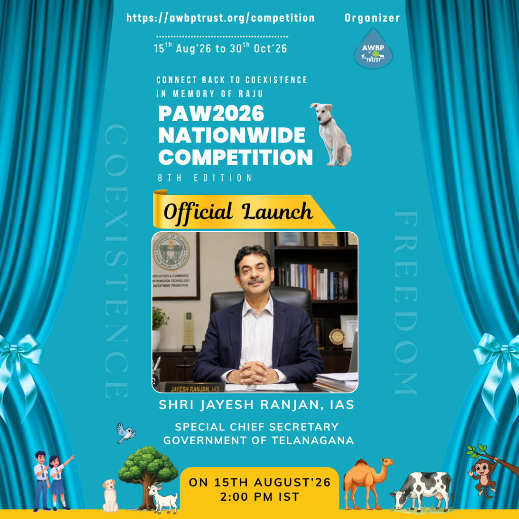 PAW2026 Nationwide Competition – 8th Edition