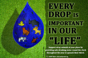 every water drop important in animals life