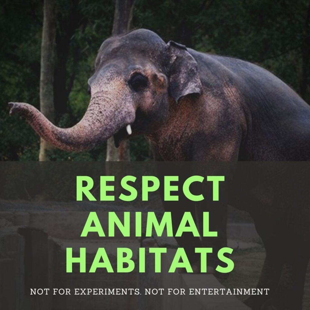 respect animal habitats
